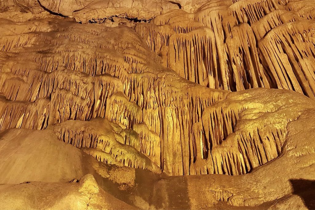 Discover a hidden world beneath the island.